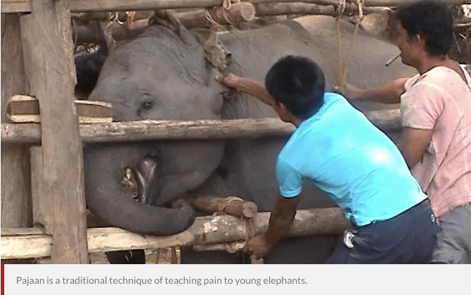 Snímek obrazovky 2019-10-26 v 12.37.24