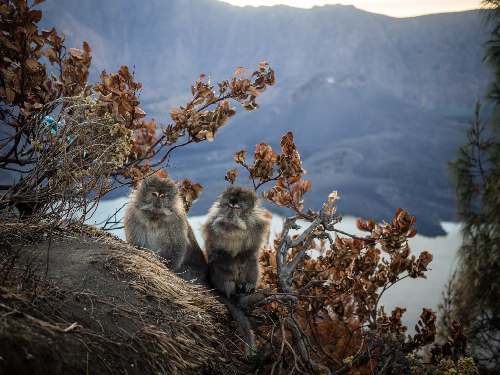 Sopka v sopke alebo Výstup ku kráteru druhej najvyššej a stále aktívnej sopky Indonézie – Mt. Rinjani, 2&nbsp;641m